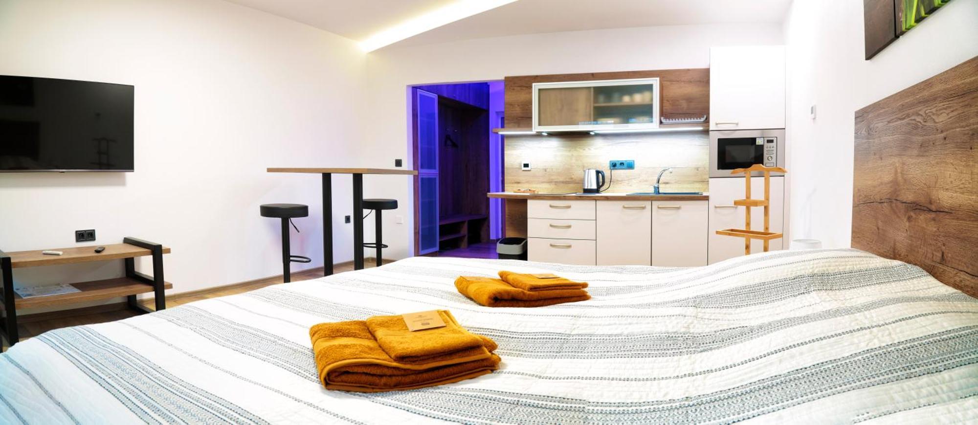 V Centru Apartment Lanskroun